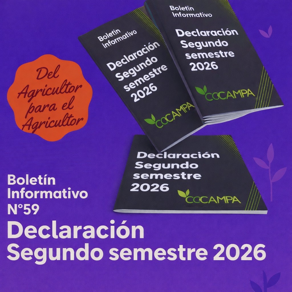 BOLETIN 59