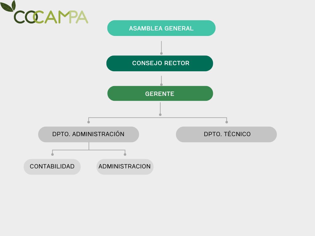  Organigrama COCAMPA 1