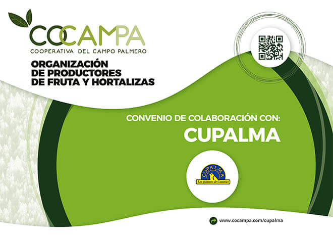 cupalma