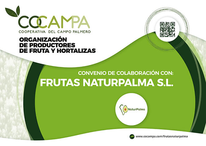 frutasnaturpalma