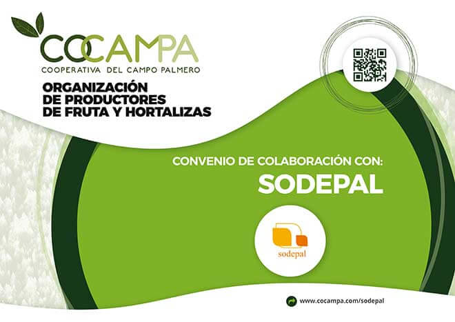 sodepal