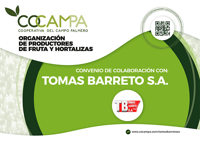 tomasbarreto