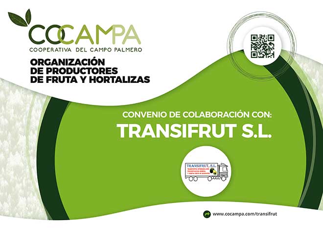 transifrut