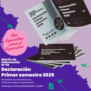 Declaraci&oacute;n primer semestre 2025