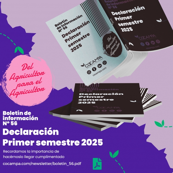 Declaraci&oacute;n primer semestre 2025
