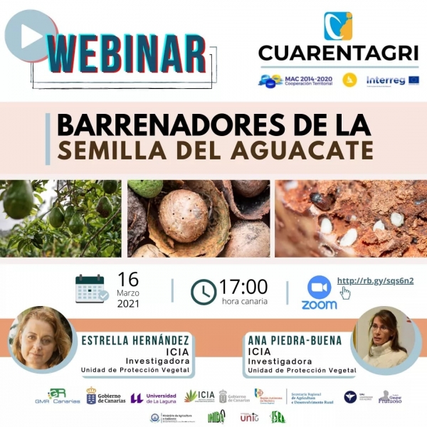 webinar