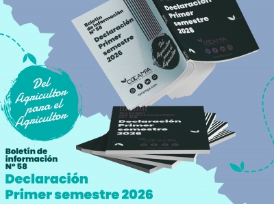 Declaraci&oacute;n primer semestre 2026