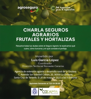 CHARLA SEGURO TENERIFE