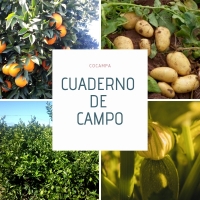 Cuaderno de campo