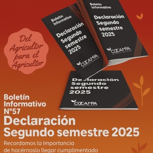 Declaraci&oacute;n segundo semestre 2025