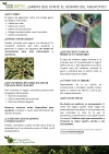 SEGURO DEL AGUACATE