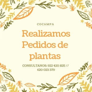 Venta de plantas