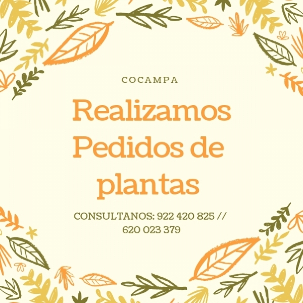 Venta de plantas