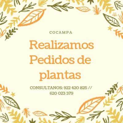 Venta de plantas