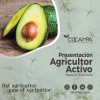 AGRICULTOR ACTIVO
