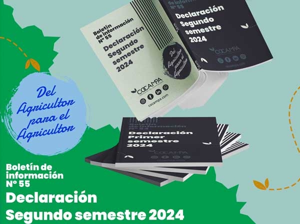 Declaraci&oacute;n segundo semestre 2024