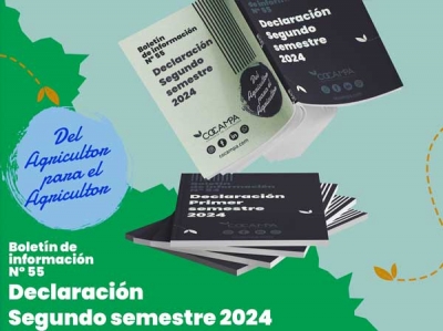 Declaraci&oacute;n segundo semestre 2024