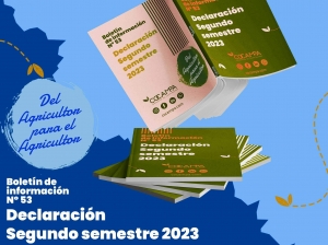 Declaraci&oacute;n segundo semestre 2023