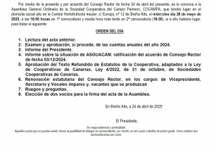 ASAMBLEA 28 DE MAYO