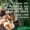 Ayuda por Superficie a los productores de papa de mesa 2022