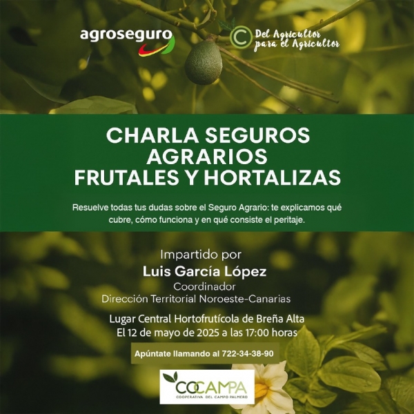 CHARLA SEGURO LA PALMA