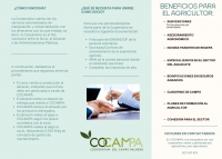 COCAMPA- &iquest;C&Oacute;MO FUNCIONA?