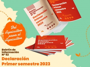 Declaraci&oacute;n primer semestre 2023