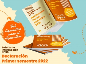 Declaraci&oacute;n primer semestre 2022