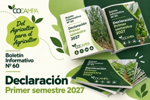 Declaraci&oacute;n primer semestre 2027