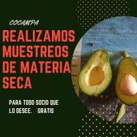 REALIZAMOS MUESTRAS DE MATERIA SECA