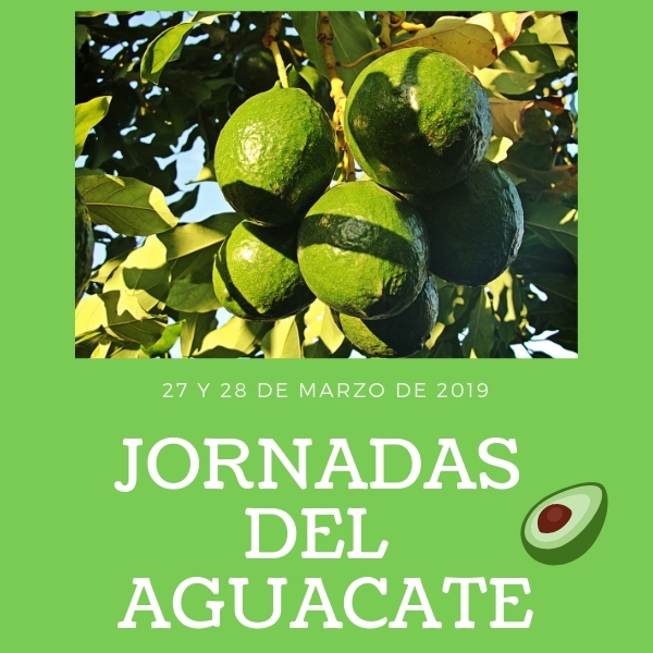 Jornadas del Aguacate