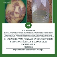 Feromonas Polilla Guatemalteca /Tuta