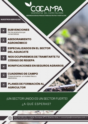 BENEFICIOS DE SER SOCIO