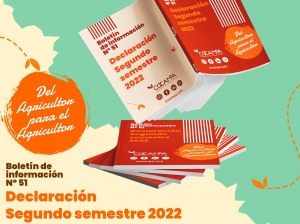 Declaraci&oacute;n segundo semestre 2022