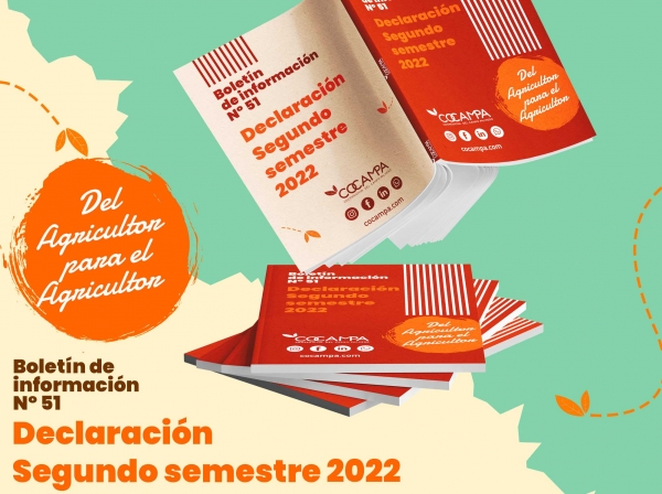 Declaraci&oacute;n segundo semestre 2022
