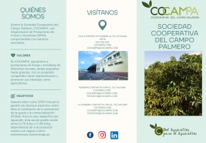 COCAMPA- QUI&Eacute;NES SOMOS