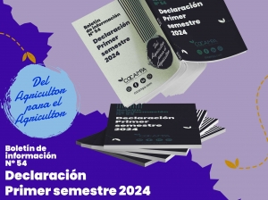 Declaraci&oacute;n primer semestre 2024