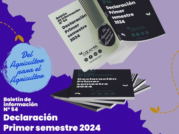 Declaraci&oacute;n primer semestre 2024